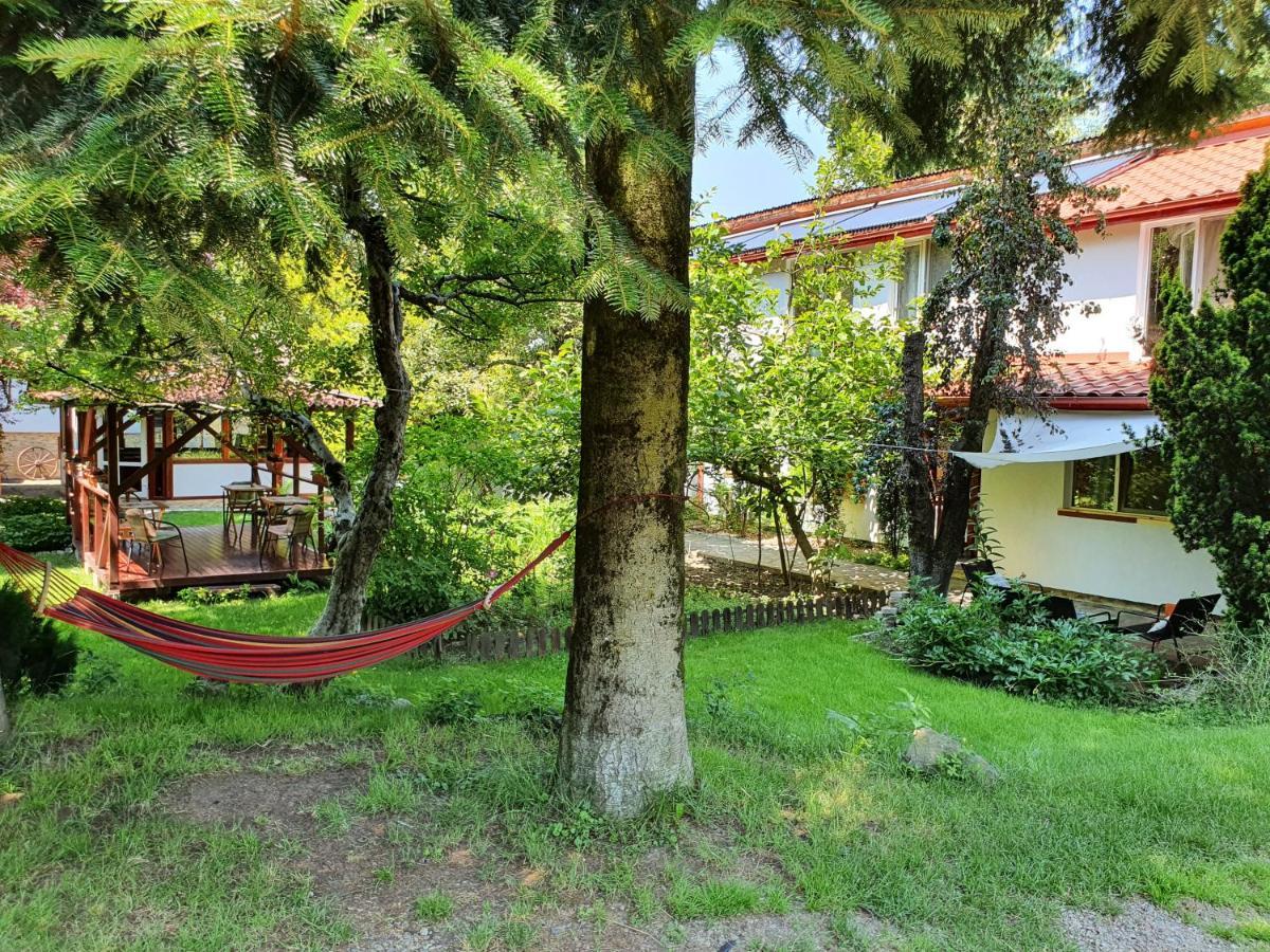 Pension Agnes Вишово-Вижнє Екстер'єр фото